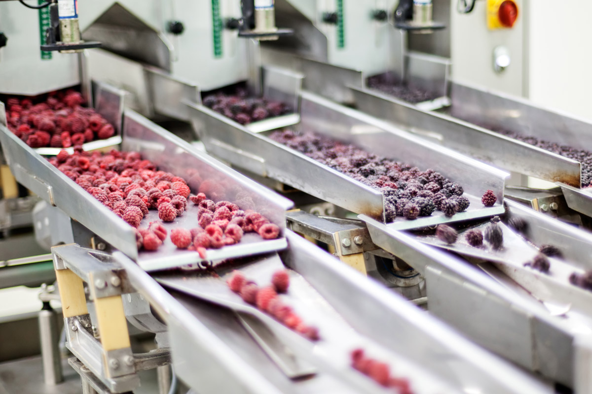 Prozesskälte in der Industrie